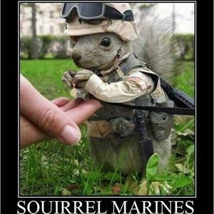 Meet your Posher, Brett